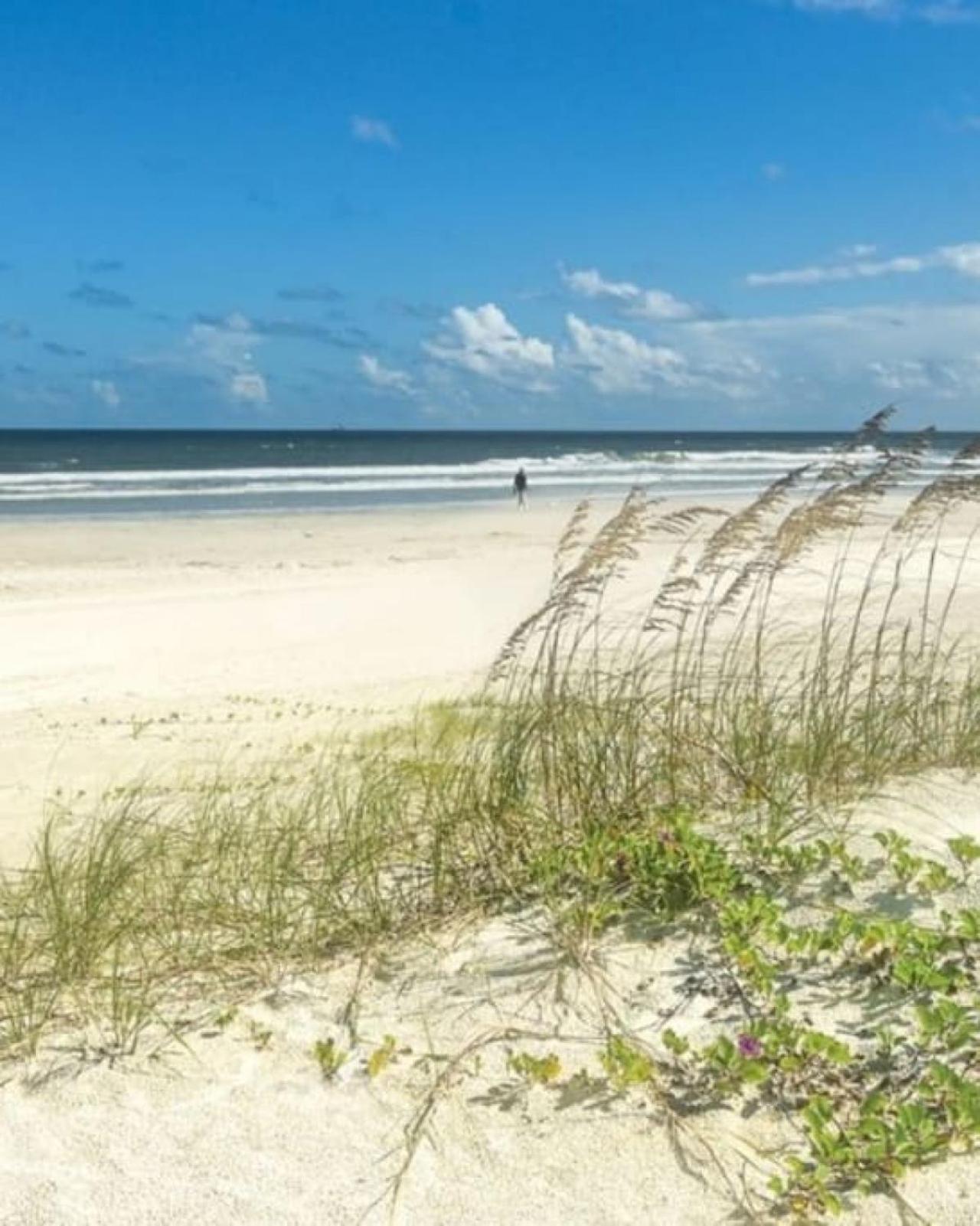Atlantic View Heated Pool Spa Firepit Beach St. Augustine Bagian luar foto